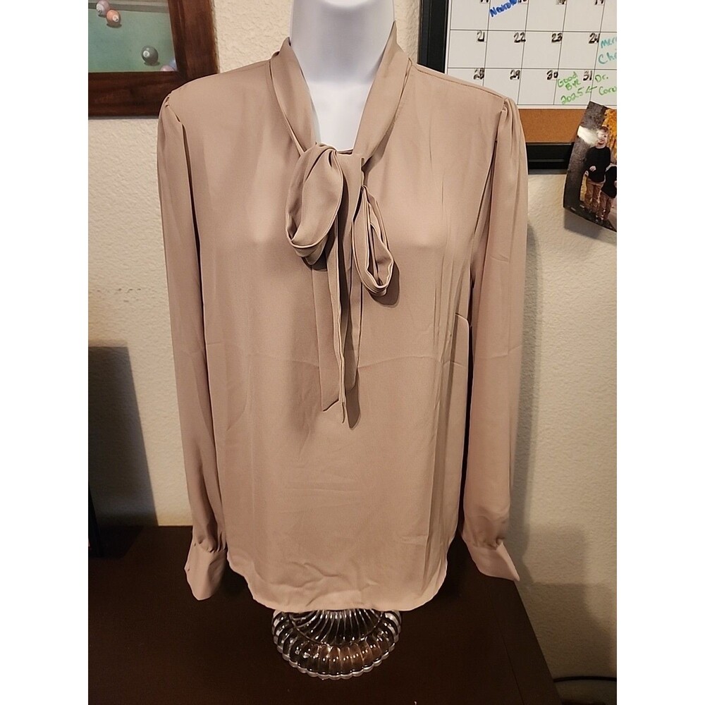 Forever 21 Nude Sheer Blouse Long Sleeve Women’s Size L Large Sexy Mesh Top Boho